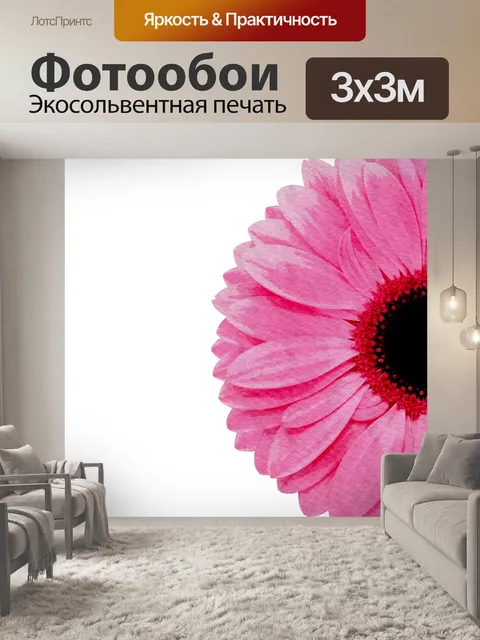 Фотообои Розовая ромашка цветок акварель