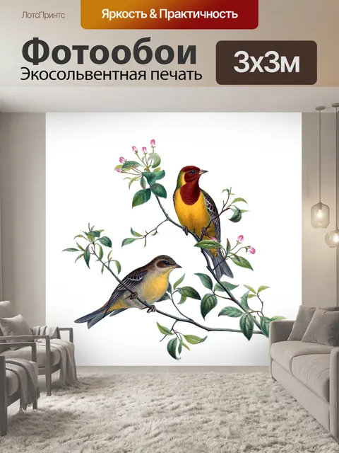 Фотообои Птицы Винтаж Овсянка Искусство
