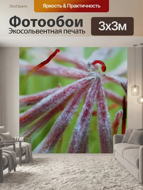 Фотообои Макрос