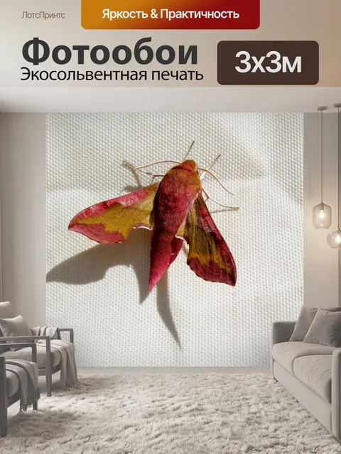 Фотообои Насекомые