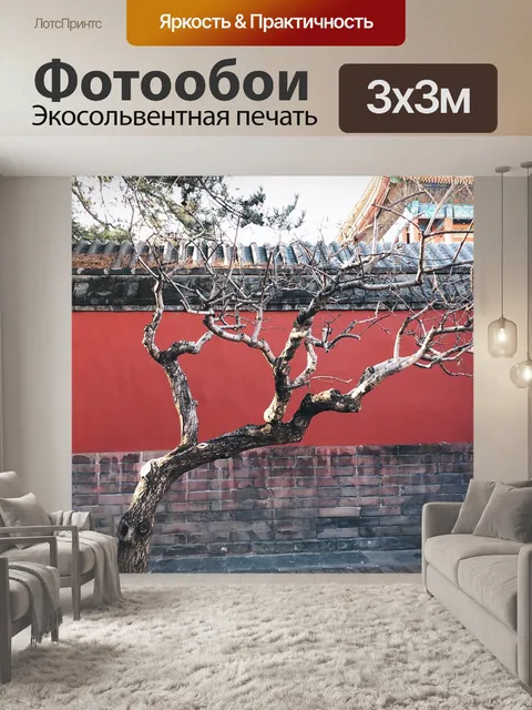 Фотообои Китай