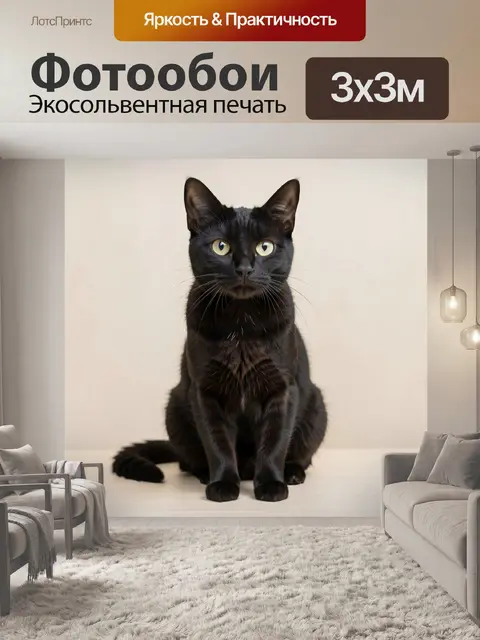 Фотообои черный кот