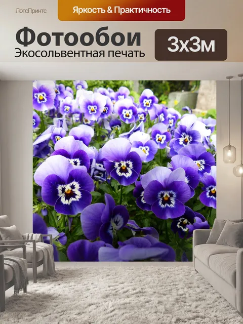 Фотообои День и ночь тени цветок
