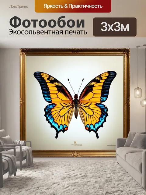 Фотообои бабочки