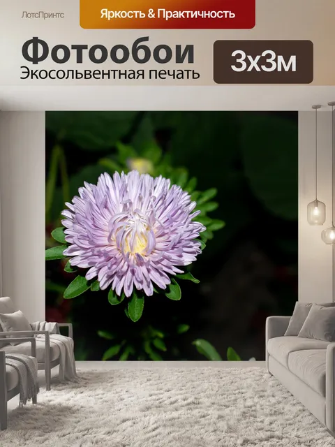 Фотообои Белый цветок