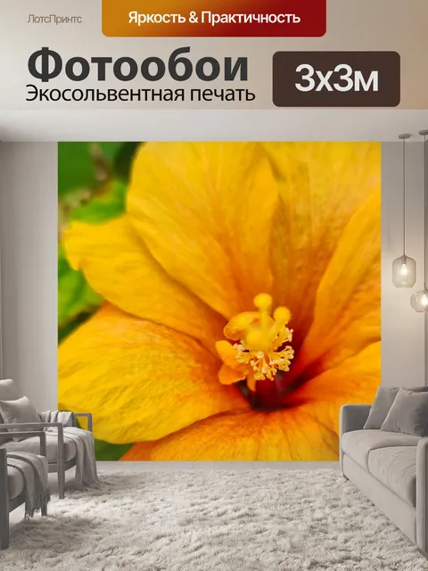 Фотообои Желтый цветок гибискуса