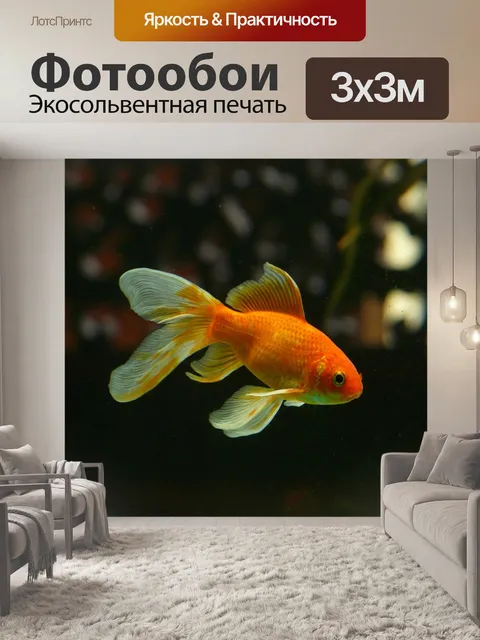 Фотообои Вуаль хвоста