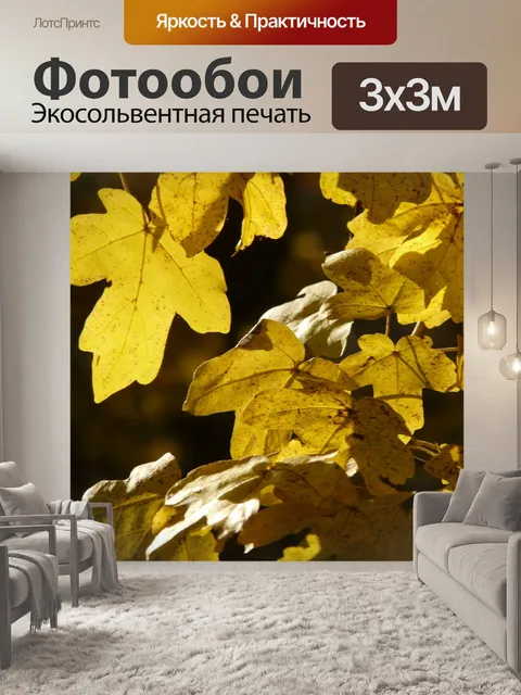 Фотообои Полевой клен