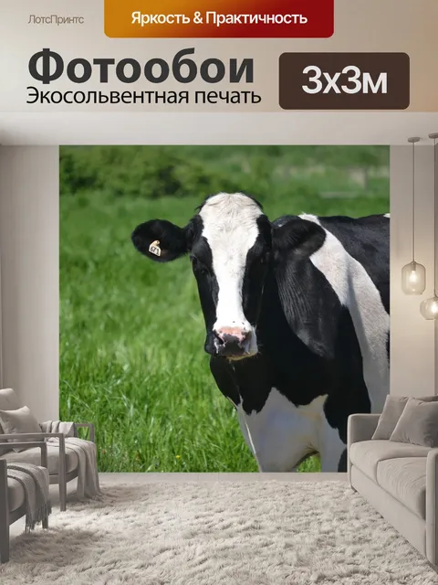 Фотообои Корова