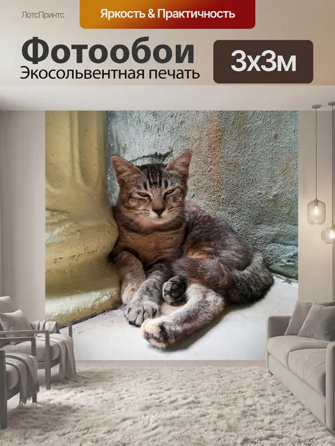 Фотообои Кошка