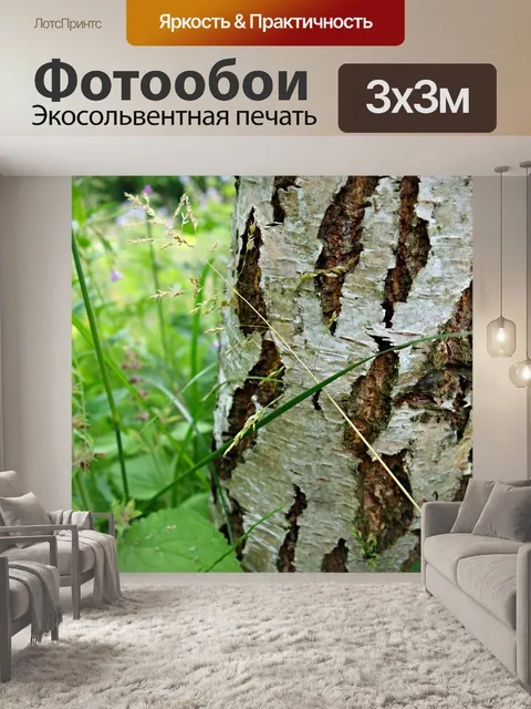 Фотообои Береза