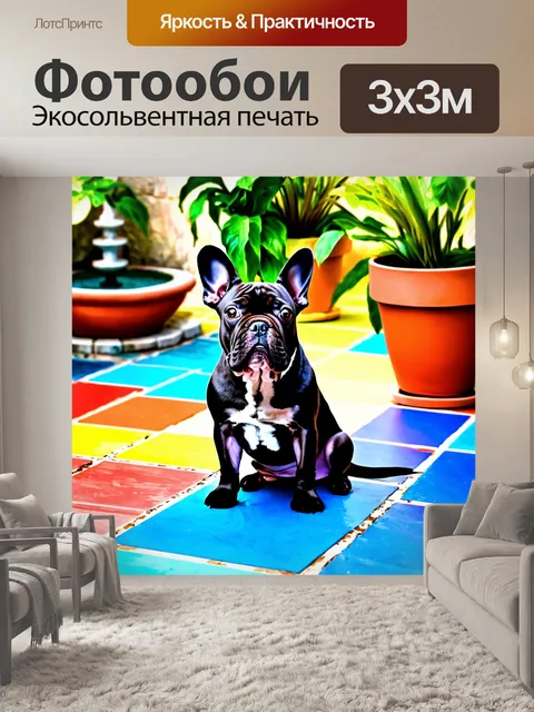 Фотообои очаровательный французский бульдог