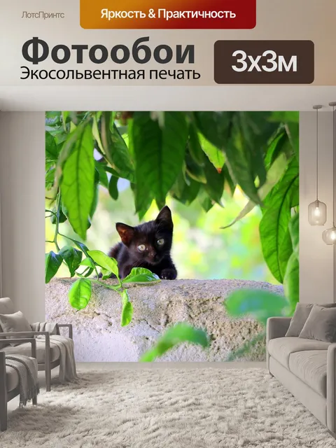 Фотообои Лист