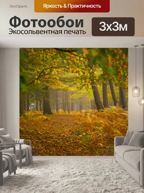 Фотообои Туманный лес