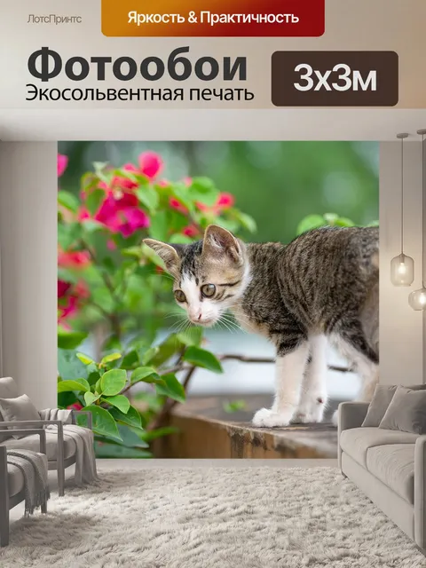 Фотообои Китти