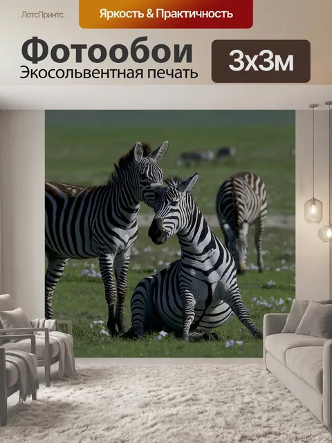 Фотообои Зебры