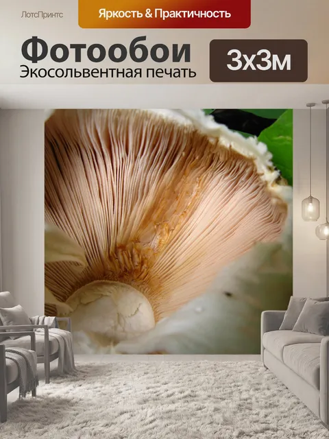 Фотообои Макро Жабры грибами