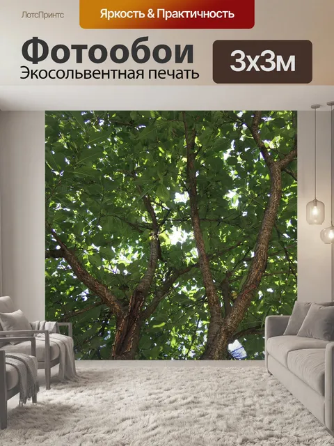 Фотообои Дерево