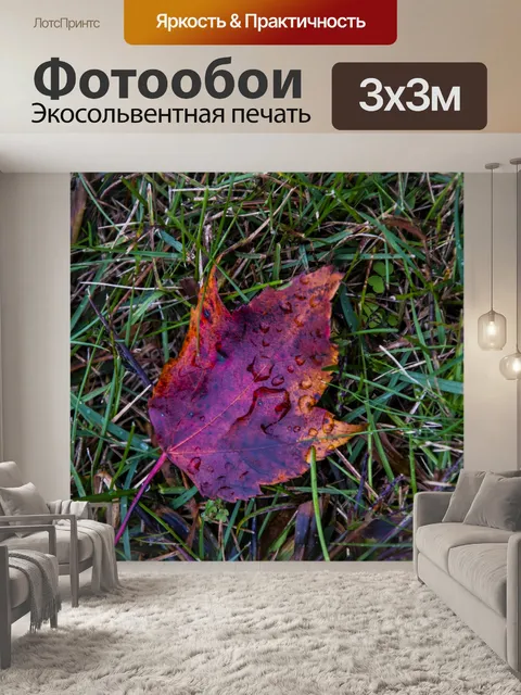 Фотообои Красный кленовый лист