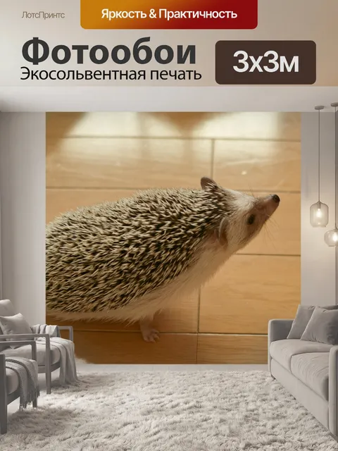 Фотообои Ежик