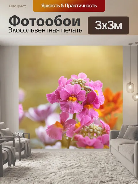 Фотообои Цветок
