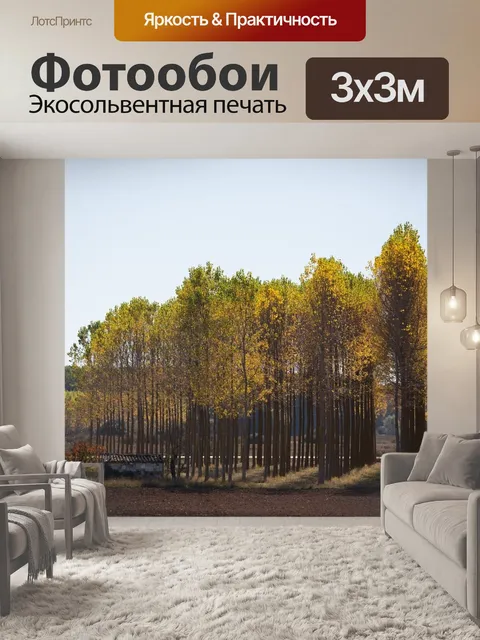 Фотообои Лес