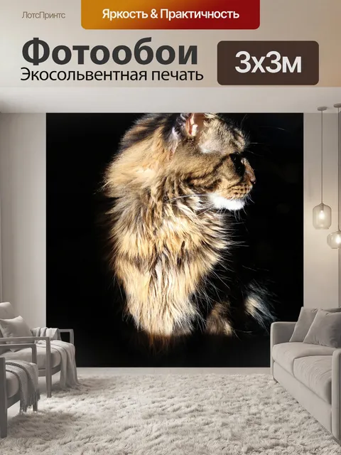 Фотообои Мейн кун кошка
