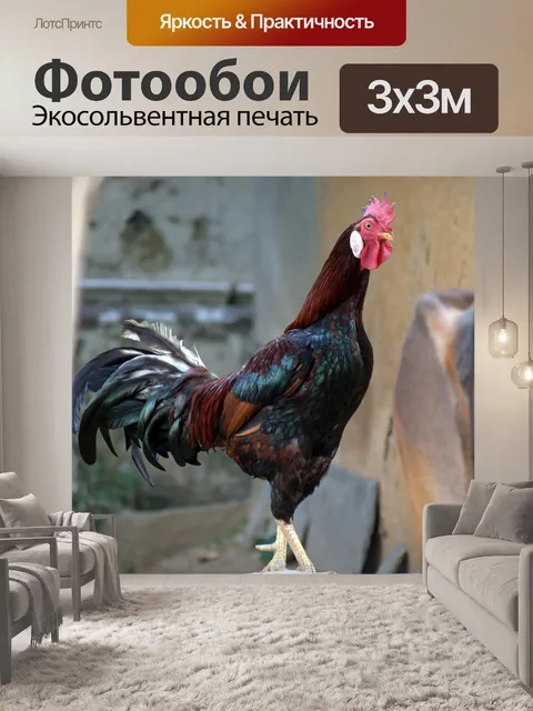 Фотообои Петух