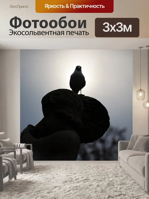 Фотообои Силуэт
