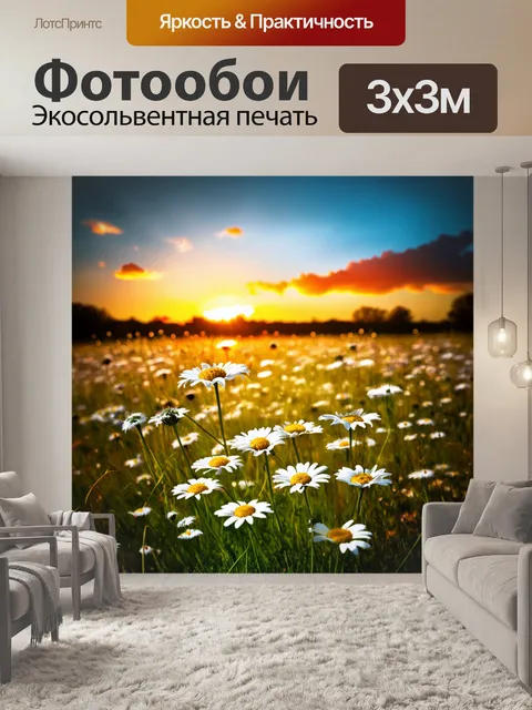 Фотообои вид на уютный луг с рваными ромашками, где цветы оживают на фоне закатного неба