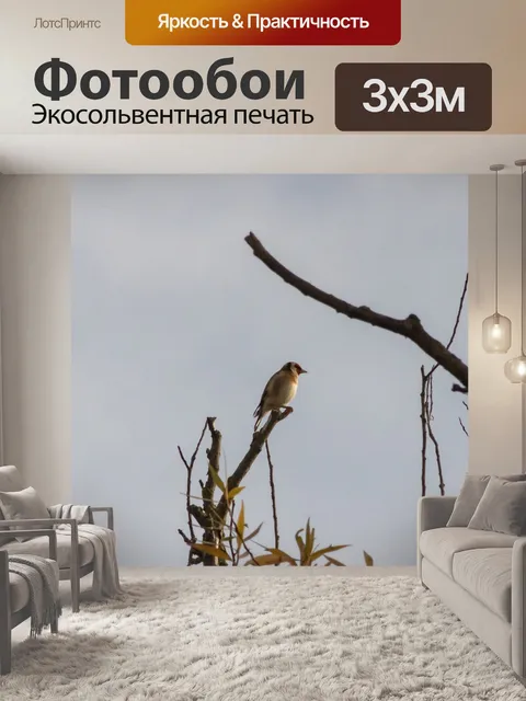 Фотообои Птица