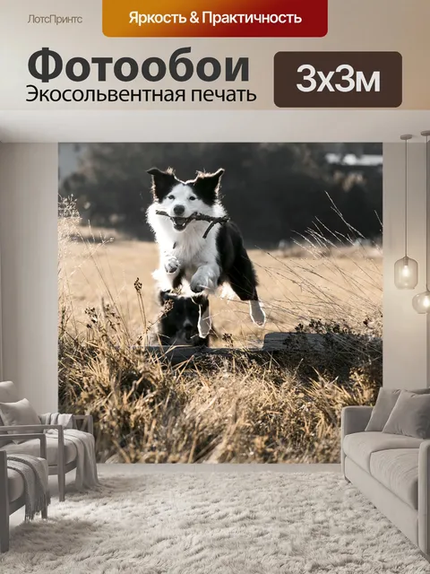 Фотообои Прыжки
