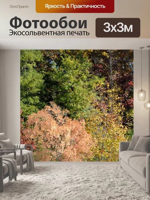 Фотообои Цвета осеннего сезона