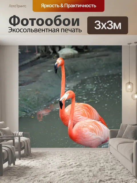 Фотообои Два фламинго вместе ходить