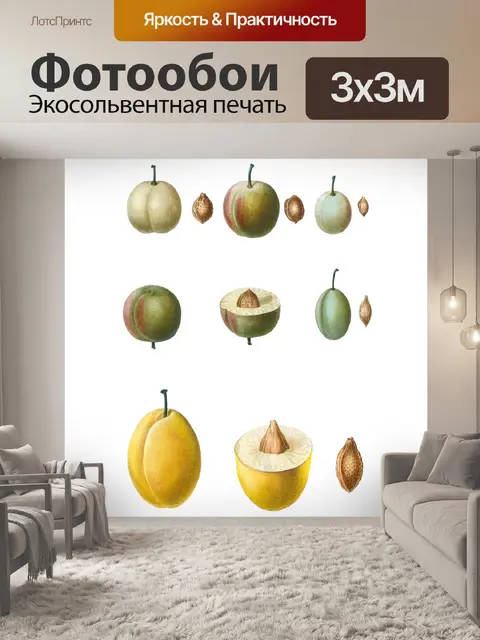 Фотообои Сливы марочные