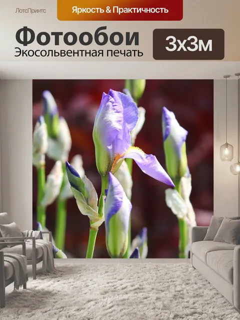 Фотообои Лили