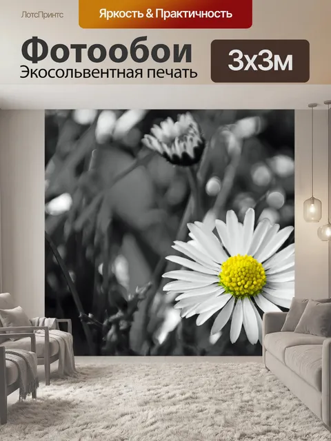 Фотообои Одуванчик