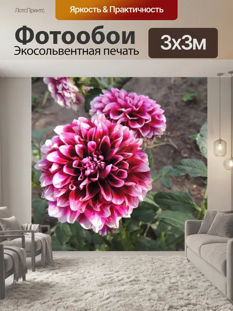 Фотообои Цветок