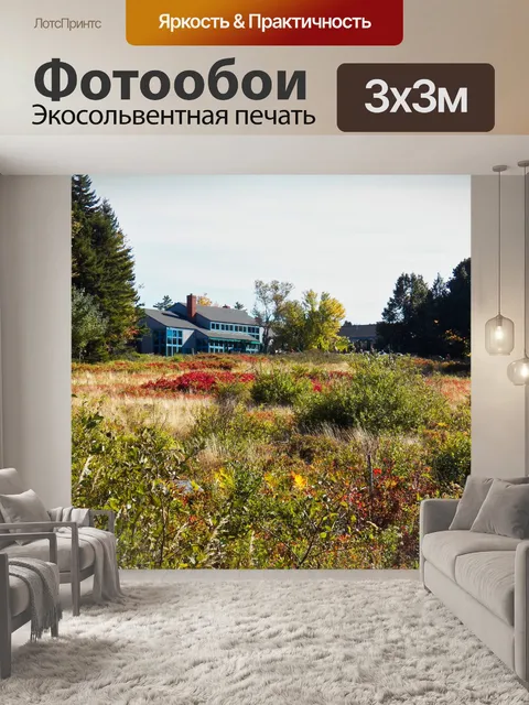 Фотообои Чайный Дом