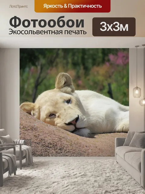 Фотообои Лев