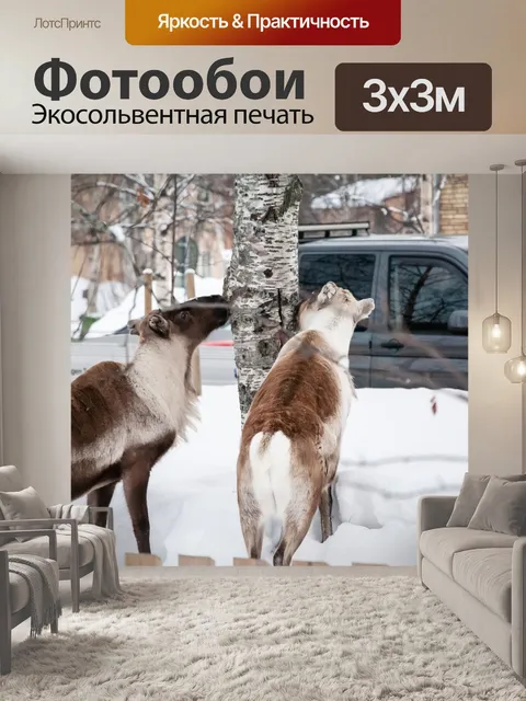 Фотообои Животные