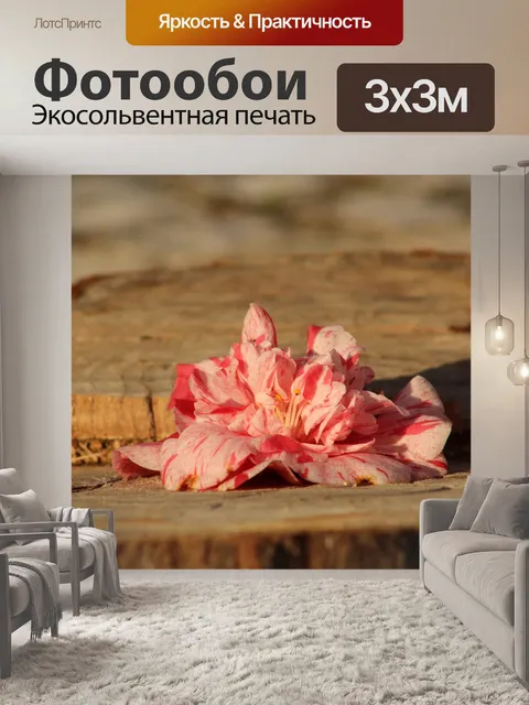 Фотообои Вырубка леса