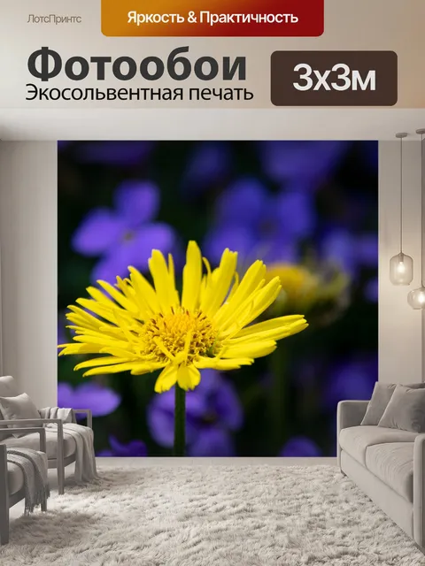 Фотообои Желтый цветок, Сердце подсолнуха