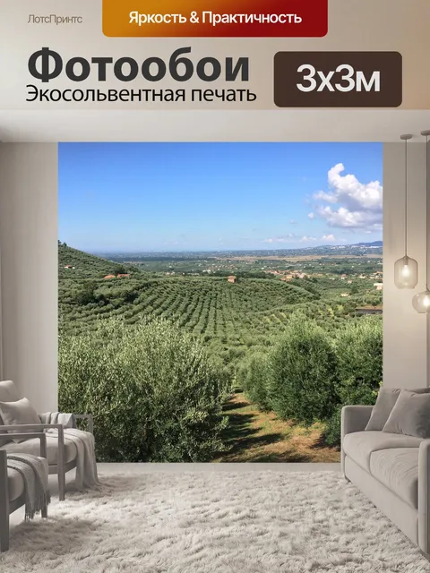 Фотообои Оливковые деревья