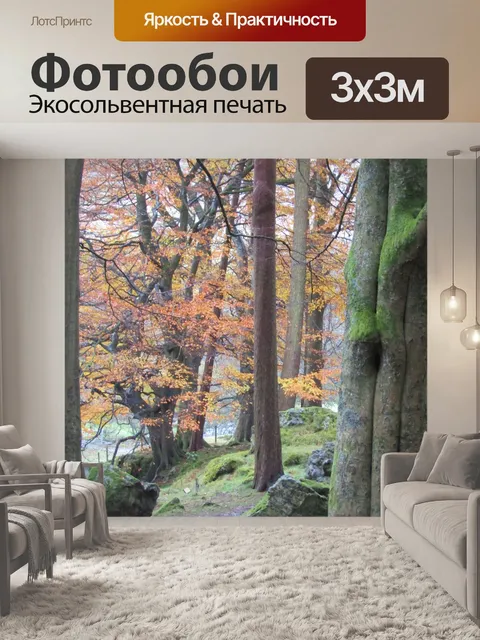Фотообои Осенний лес