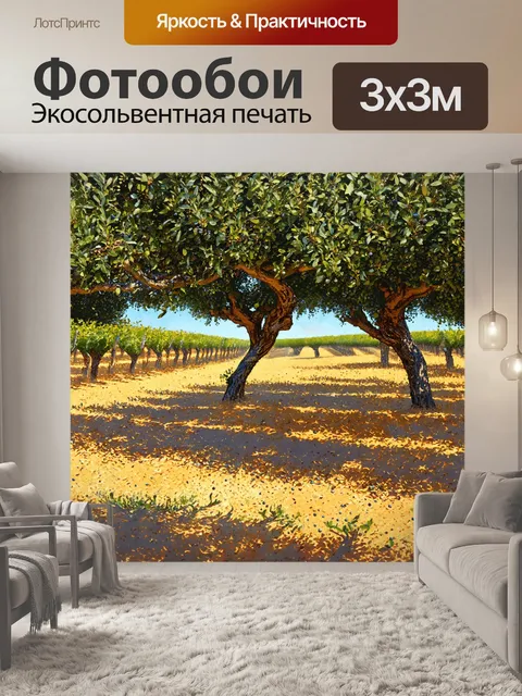 Фотообои прованс - оливковая роща с роняющими оливками на землю, солнце высоко в небе, создавая интересные тени