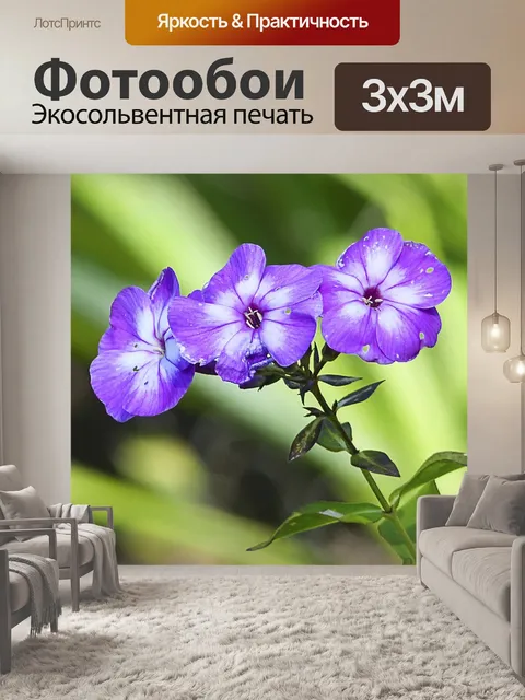 Фотообои Фиолетовый