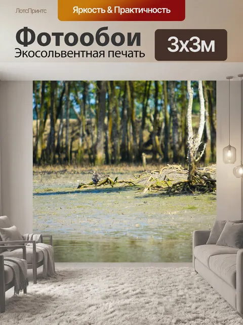 Фотообои Птица