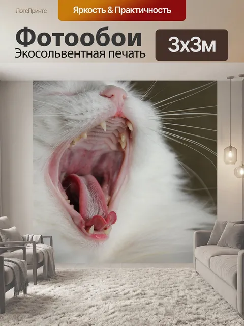 Фотообои Кошка