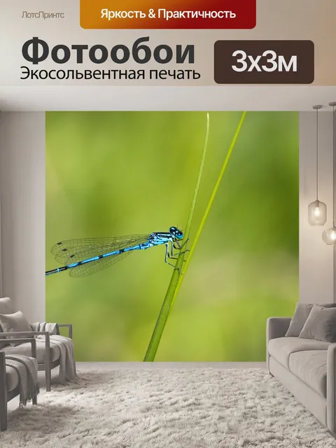 Фотообои Dragonfly или Damselfly